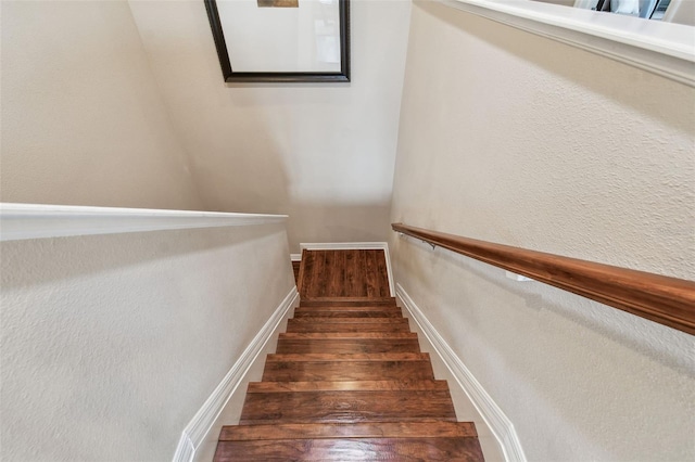 32385 Bannack Ln, Wesley Chapel, FL 33543 - photo 35