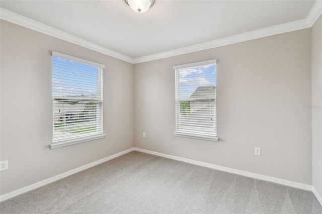 32385 Bannack Ln, Wesley Chapel, FL 33543 - photo 62