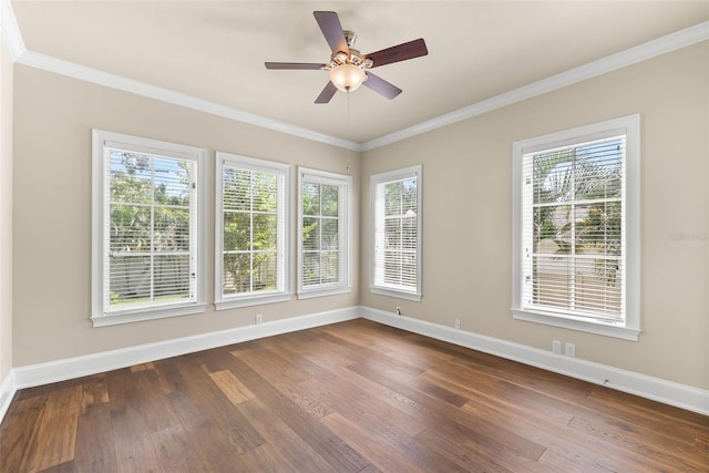 420 Riviera Dr, Tampa, FL 33606 - photo 20