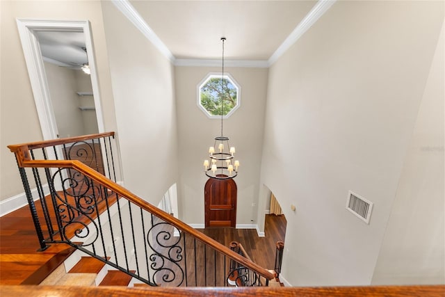 420 Riviera Dr, Tampa, FL 33606 - photo 52