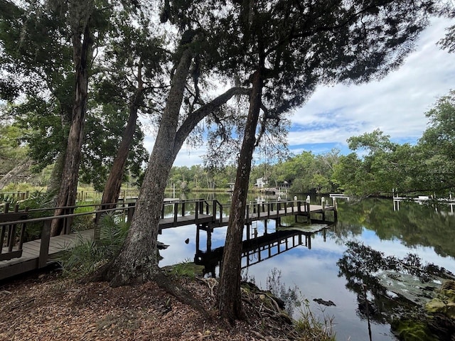 750 NW Snug Harbor Rd, Crystal River, FL 34428 - photo 2