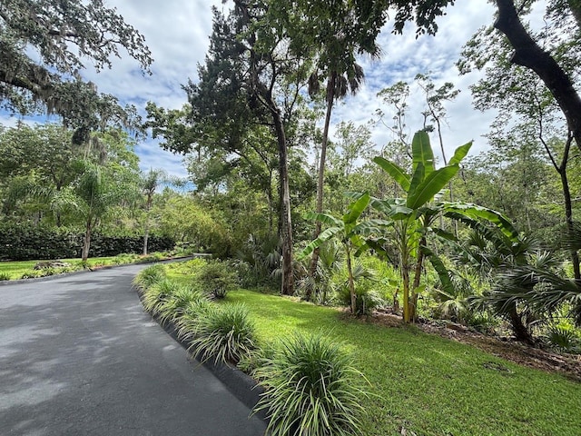 750 NW Snug Harbor Rd, Crystal River, FL 34428 - photo 9