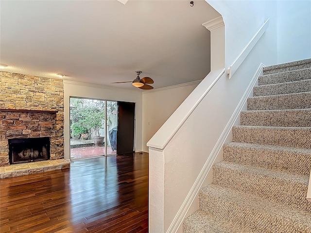 4520 W Gray St, Tampa, FL 33609 - photo 34