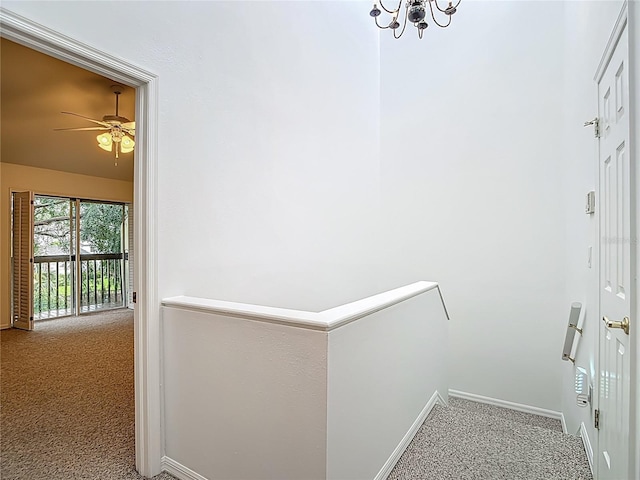 4520 W Gray St, Tampa, FL 33609 - photo 37