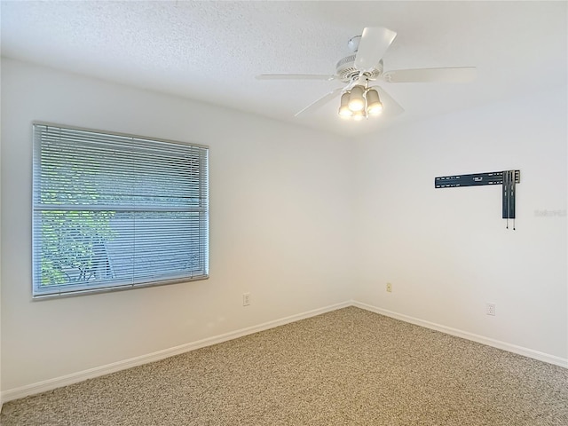 4520 W Gray St, Tampa, FL 33609 - photo 39