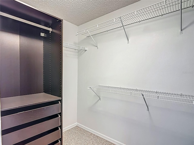4520 W Gray St, Tampa, FL 33609 - photo 51