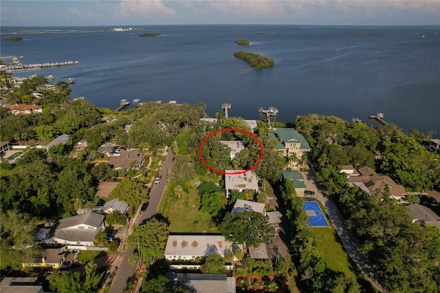 338 Pennsylvania Ave Unit 2A, Palm Harbor, FL 34683 - photo 6