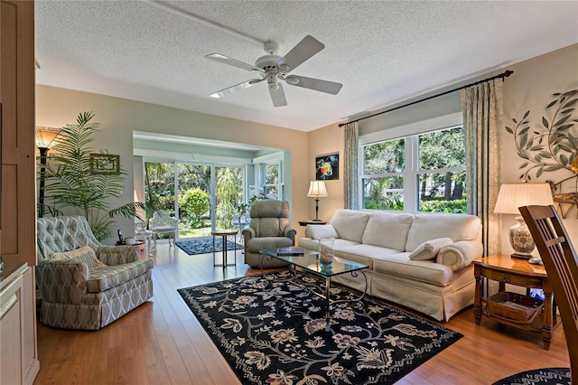 338 Pennsylvania Ave Unit 2A, Palm Harbor, FL 34683 - photo 8