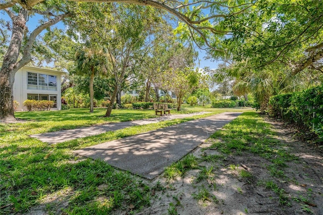 338 Pennsylvania Ave Unit 2A, Palm Harbor, FL 34683 - photo 37