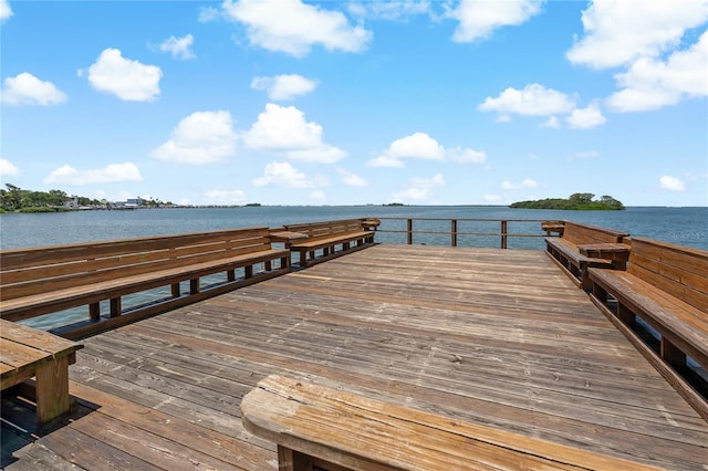 338 Pennsylvania Ave Unit 2A, Palm Harbor, FL 34683 - photo 42