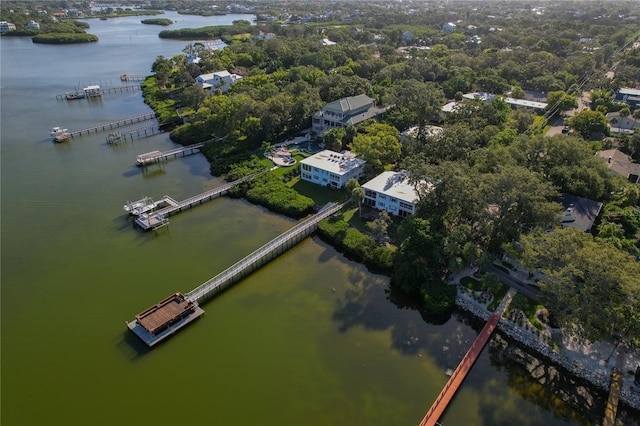 338 Pennsylvania Ave Unit 2A, Palm Harbor, FL 34683 - photo 46