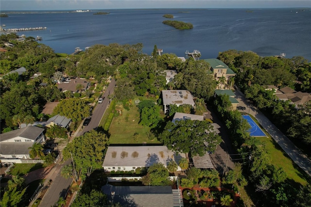 338 Pennsylvania Ave Unit 2A, Palm Harbor, FL 34683 - photo 47