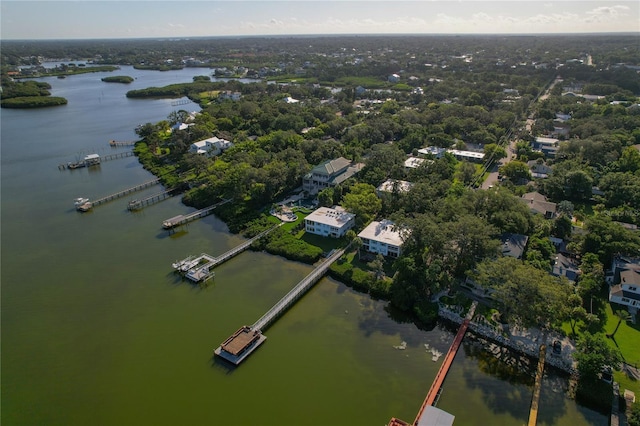 338 Pennsylvania Ave Unit 2A, Palm Harbor, FL 34683 - photo 50