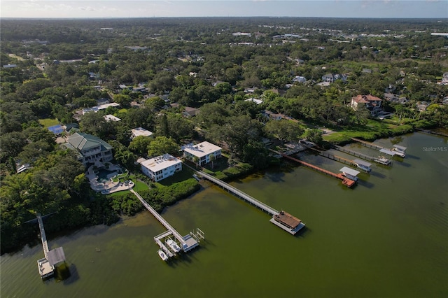 338 Pennsylvania Ave Unit 2A, Palm Harbor, FL 34683 - photo 51