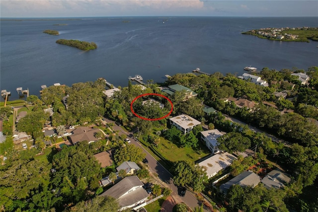 338 Pennsylvania Ave Unit 2A, Palm Harbor, FL 34683 - photo 52