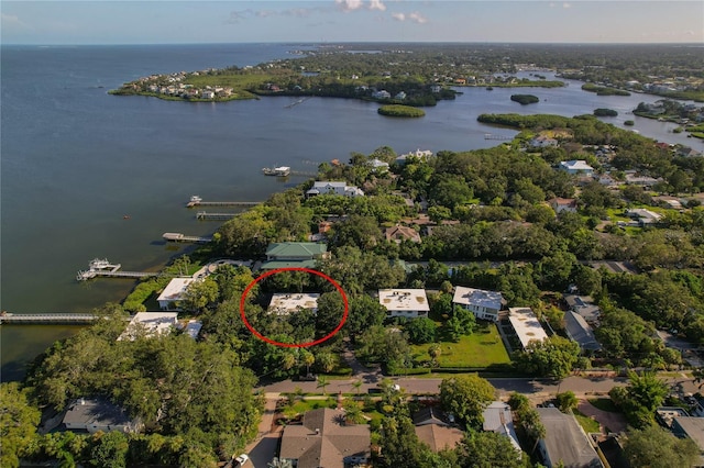 338 Pennsylvania Ave Unit 2A, Palm Harbor, FL 34683 - photo 53