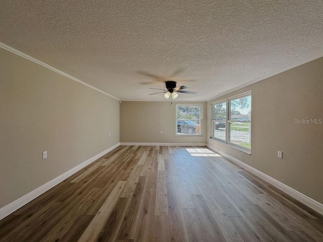 823 Riverside Dr, Tarpon Springs, FL 34689 - photo 20
