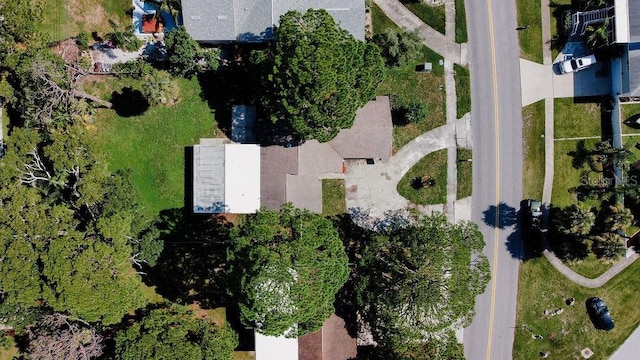 823 Riverside Dr, Tarpon Springs, FL 34689 - photo 41