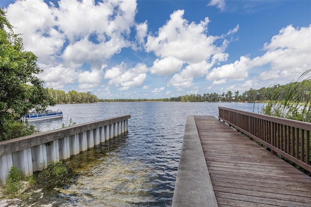 11012 Oyster Bay Cir, New Port Richey, FL 34654 - photo 61