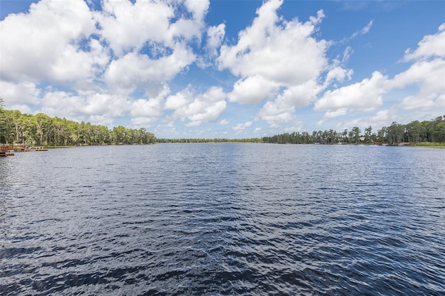 11012 Oyster Bay Cir, New Port Richey, FL 34654 - photo 62