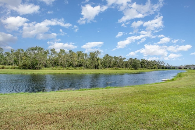4703 Deep Creek Ter, Parrish, FL 34219 - photo 29