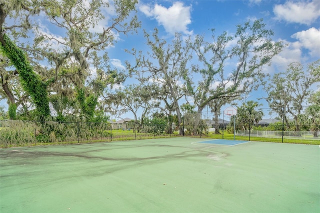 4703 Deep Creek Ter, Parrish, FL 34219 - photo 43
