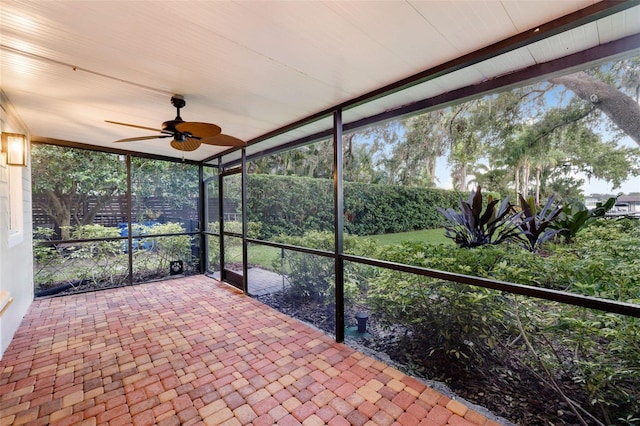 1808 W Bearss Ave, Tampa, FL 33613 - photo 47