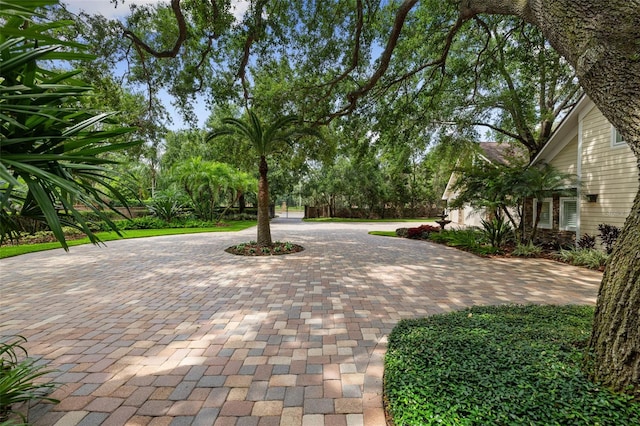 1808 W Bearss Ave, Tampa, FL 33613 - photo 65
