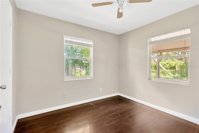 2113 W Herman St, Tampa, FL 33612 - photo 18