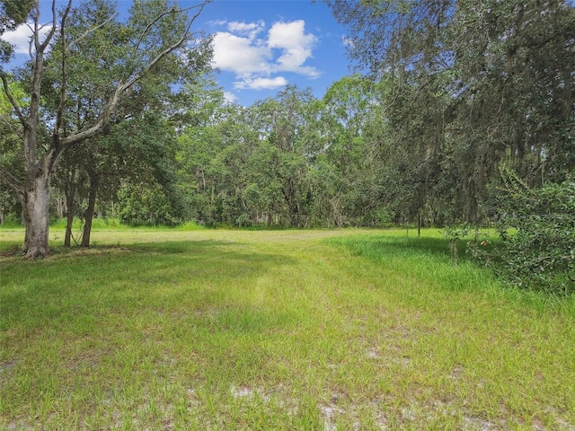 13711 Lussier Ln, Spring Hill, FL 34610 - photo 97