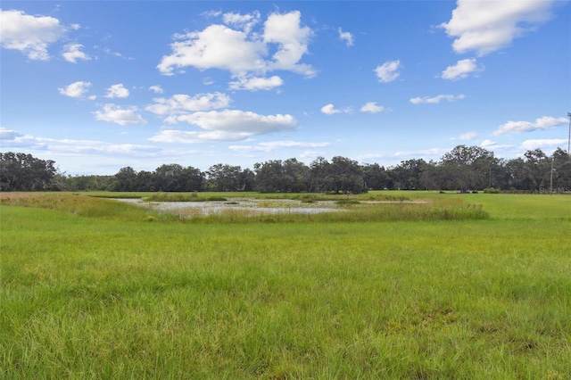 13711 Lussier Ln, Spring Hill, FL 34610 - photo 21