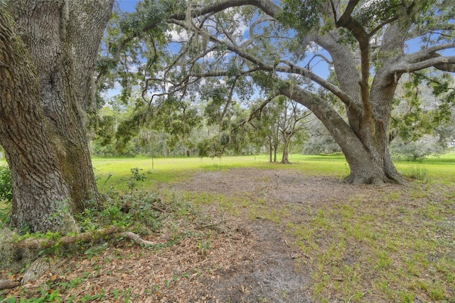 13711 Lussier Ln, Spring Hill, FL 34610 - photo 31