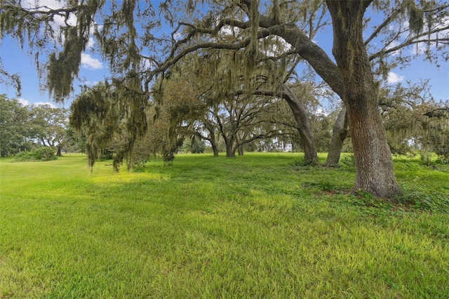 13711 Lussier Ln, Spring Hill, FL 34610 - photo 20
