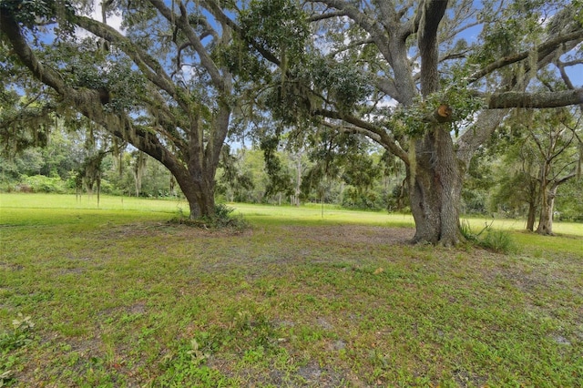 13711 Lussier Ln, Spring Hill, FL 34610 - photo 30