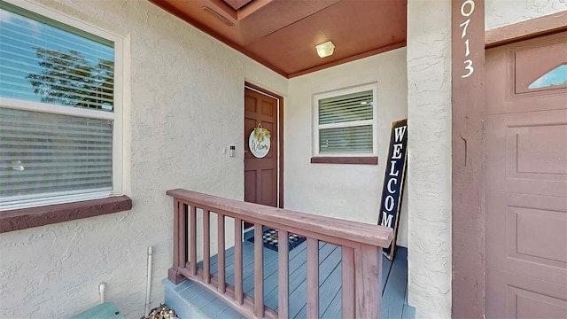 10713 N Ojus Dr, Tampa, FL 33617 - photo 3