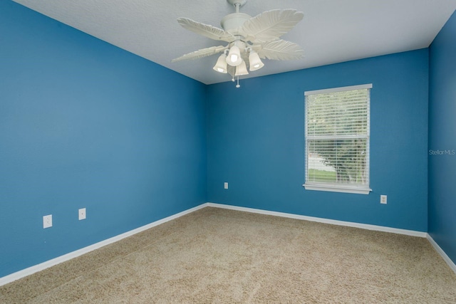 11837 Colony Lakes Blvd, New Port Richey, FL 34654 - photo 27