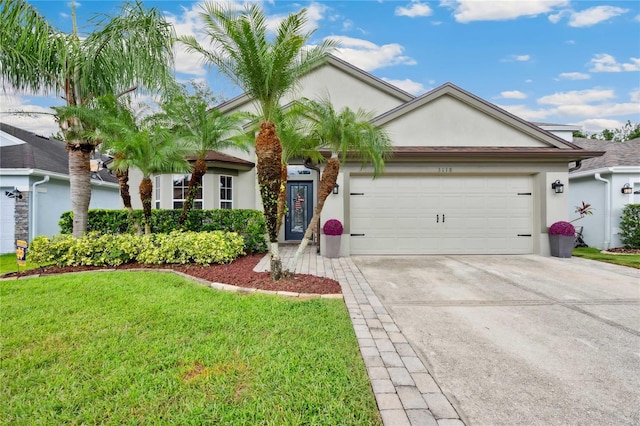3118 Sunwatch Dr, Wesley Chapel, FL 33544 - photo 1