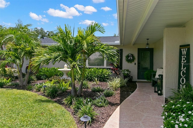 6833 Circlecreek Dr, Pinellas Park, FL 33781 - photo 3