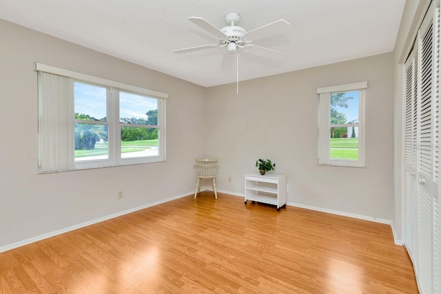 1704 Caledonia Ct, Palm Harbor, FL 34684 - photo 24