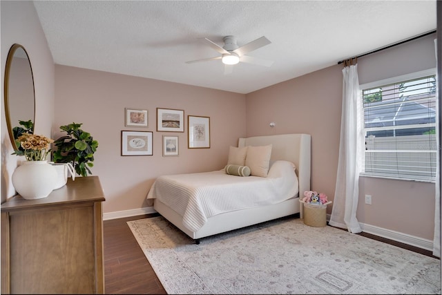 1583 Mcauliffe Ln, Palm Harbor, FL 34683 - photo 36