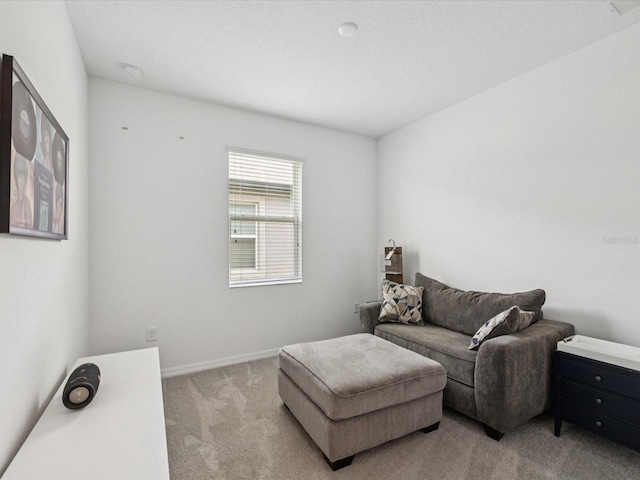 12466 Rosepine Pl, Riverview, FL 33579 - photo 22