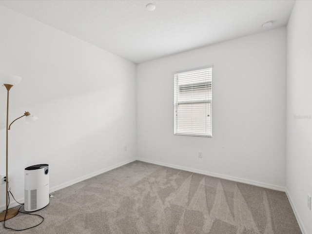 12466 Rosepine Pl, Riverview, FL 33579 - photo 24