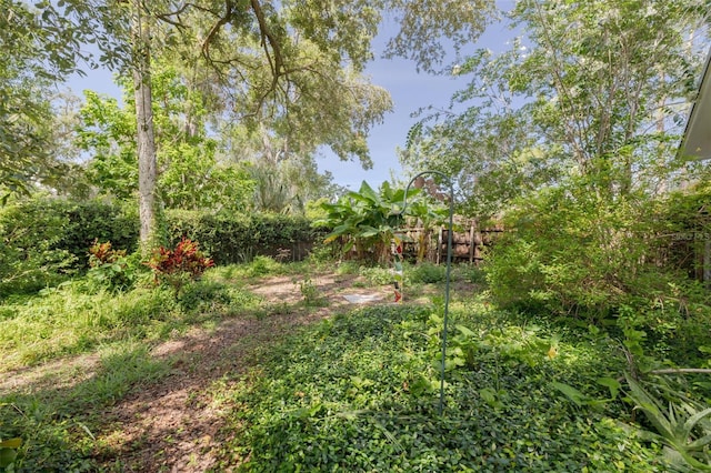 8024 W Hiawatha St, Tampa, FL 33615 - photo 30