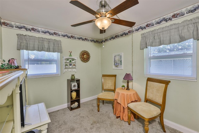 8331 14th Way N, Saint Petersburg, FL 33702 - photo 20