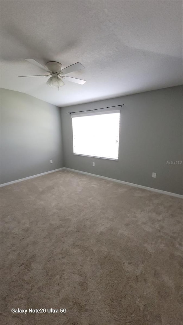 15942 Stable Run Dr, Spring Hill, FL 34610 - photo 11