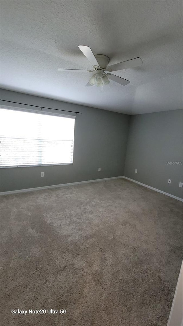 15942 Stable Run Dr, Spring Hill, FL 34610 - photo 12