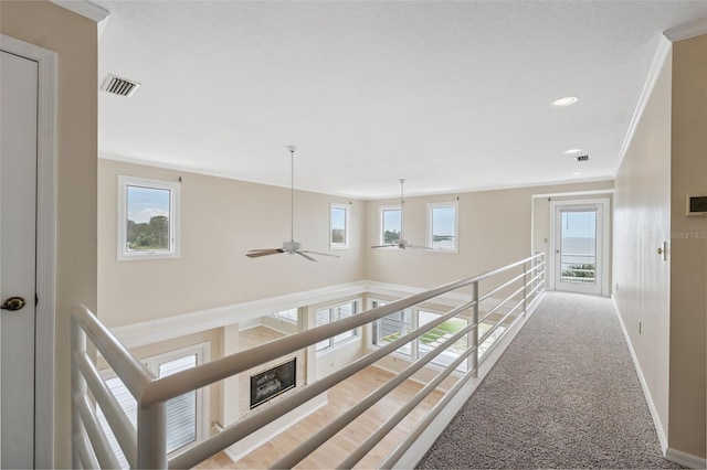 1906 Gulfview Dr, Holiday, FL 34691 - photo 22