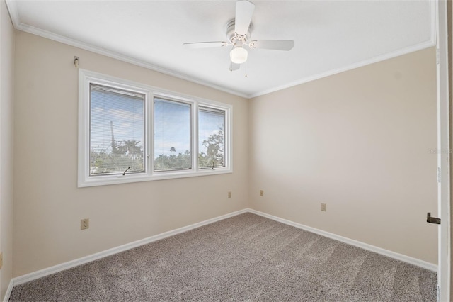 1906 Gulfview Dr, Holiday, FL 34691 - photo 23