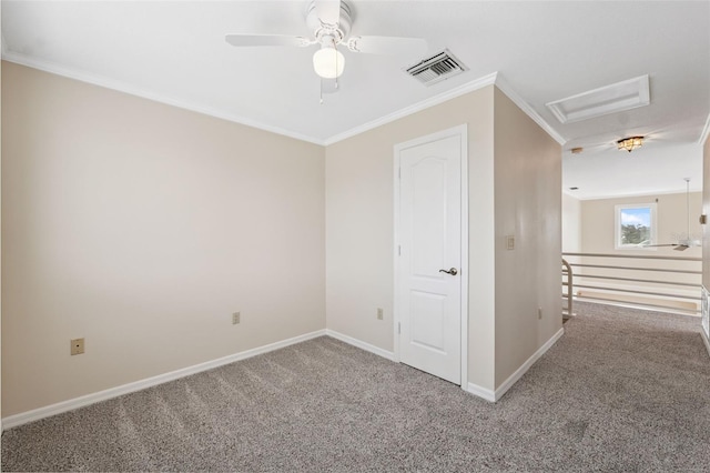 1906 Gulfview Dr, Holiday, FL 34691 - photo 24
