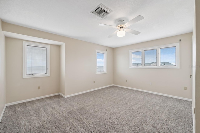 1906 Gulfview Dr, Holiday, FL 34691 - photo 30